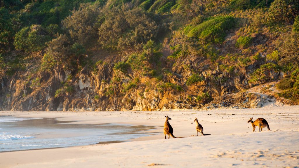 Western Australia Attractions